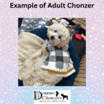 Chonzer (Bichon / Schnauzer Mix) Litter Has Arrived!