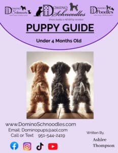 Exclusive Puppy Guide