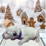 Snowflake – Miniature Schnoodle