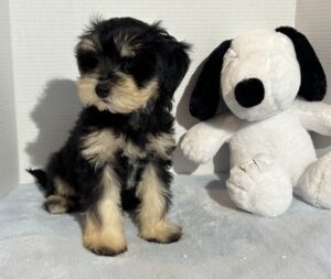 Benny14
