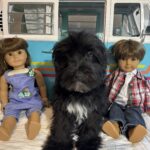 Murphy – Miniature Schnauzer $1500