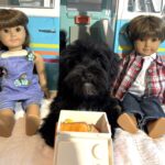 Murphy – Miniature Schnauzer $1500