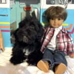 Murphy – Miniature Schnauzer $1500