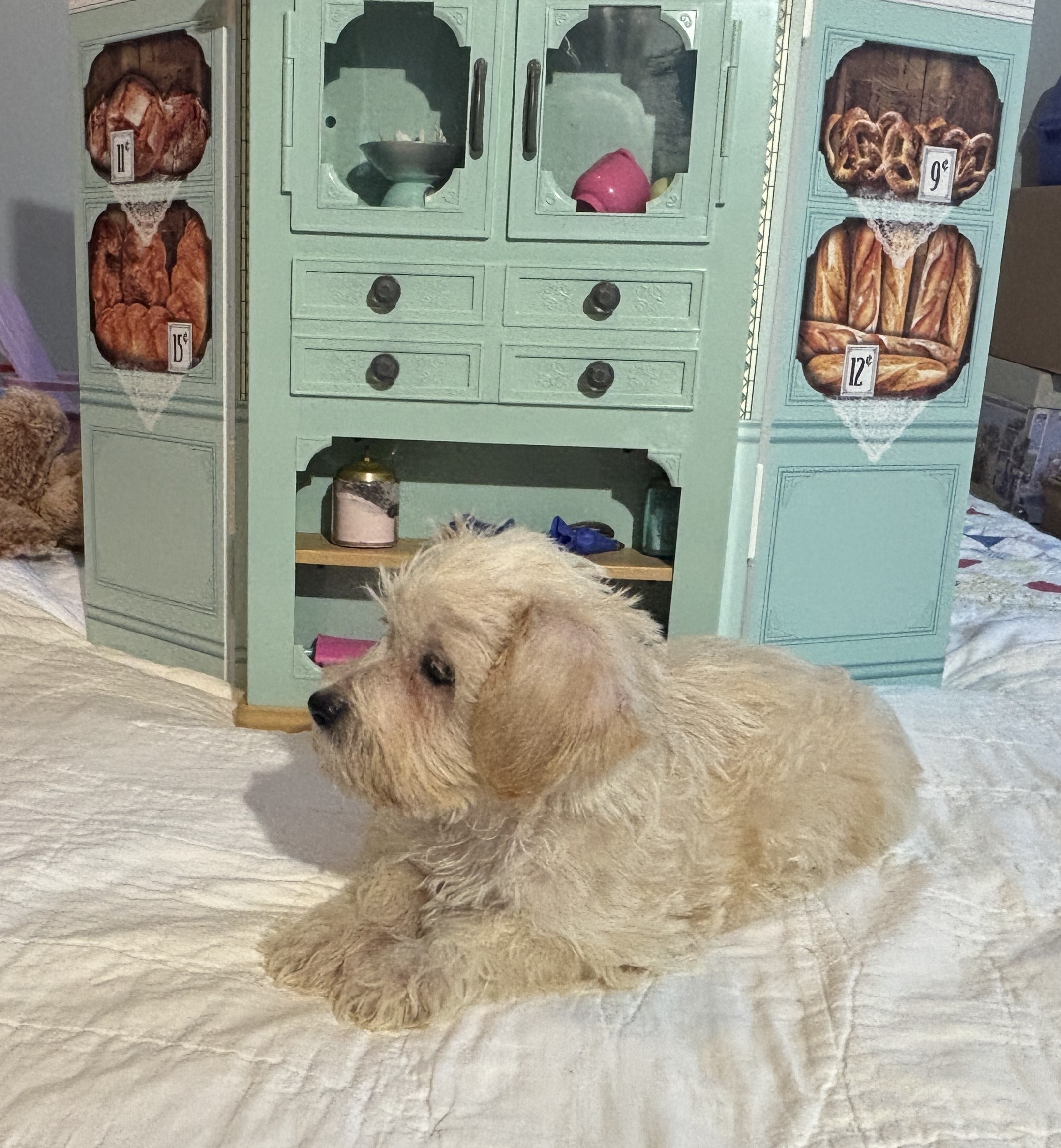 Buddy – Chonzer / SALE! $1000