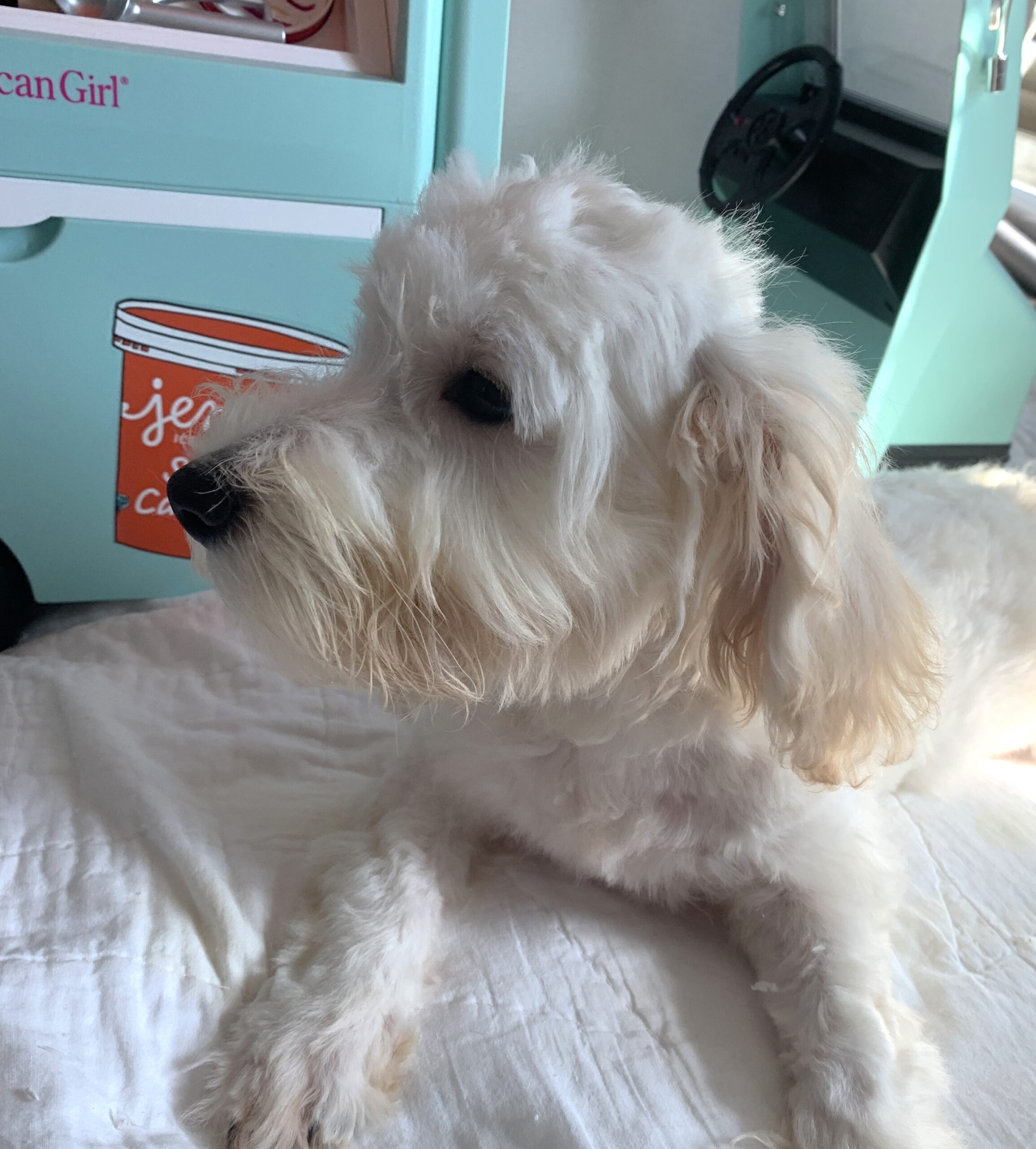 Diesel – Chonzer $1500