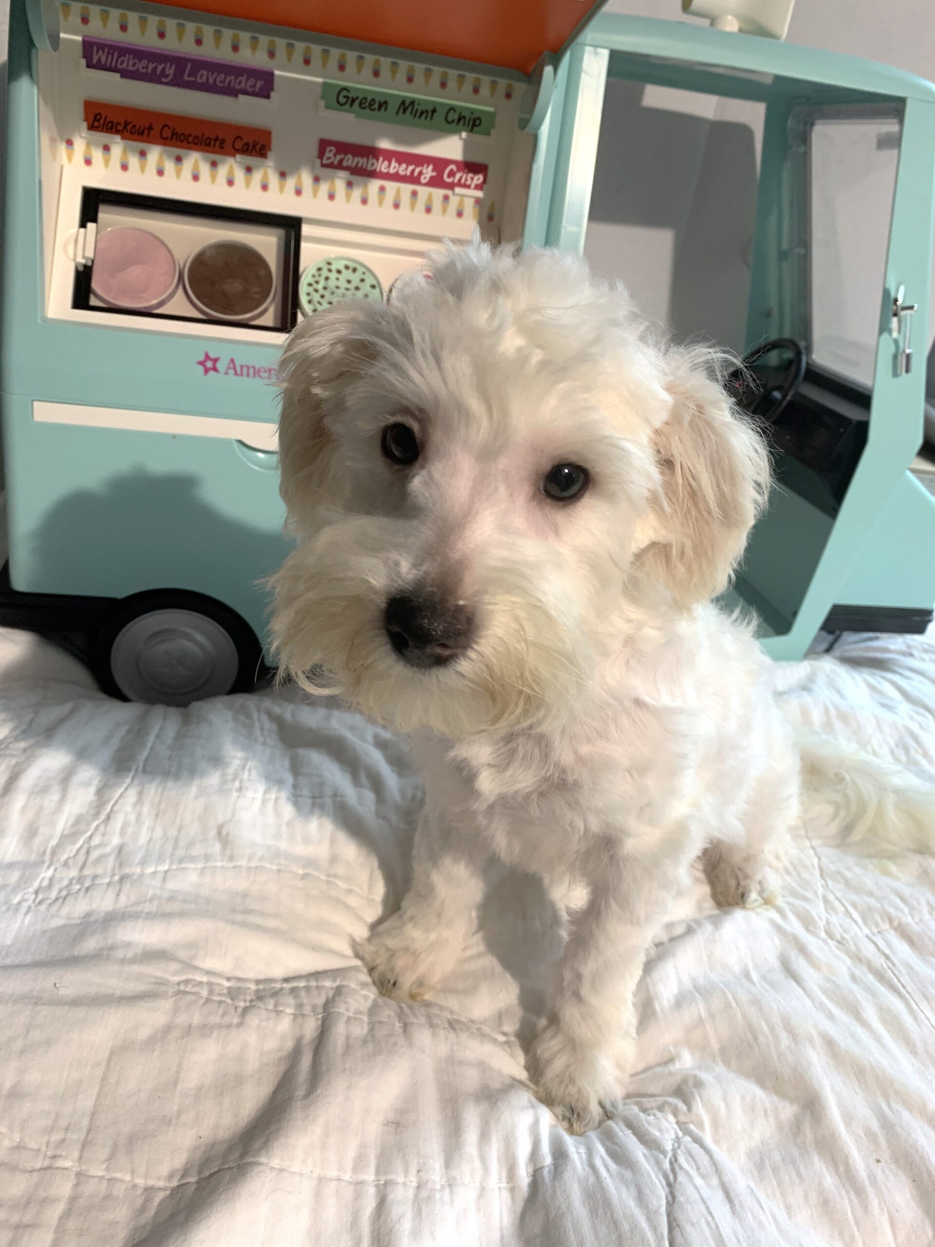 MATRIX – Chonzer $1500