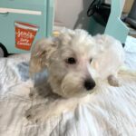 MATRIX – Chonzer $1500