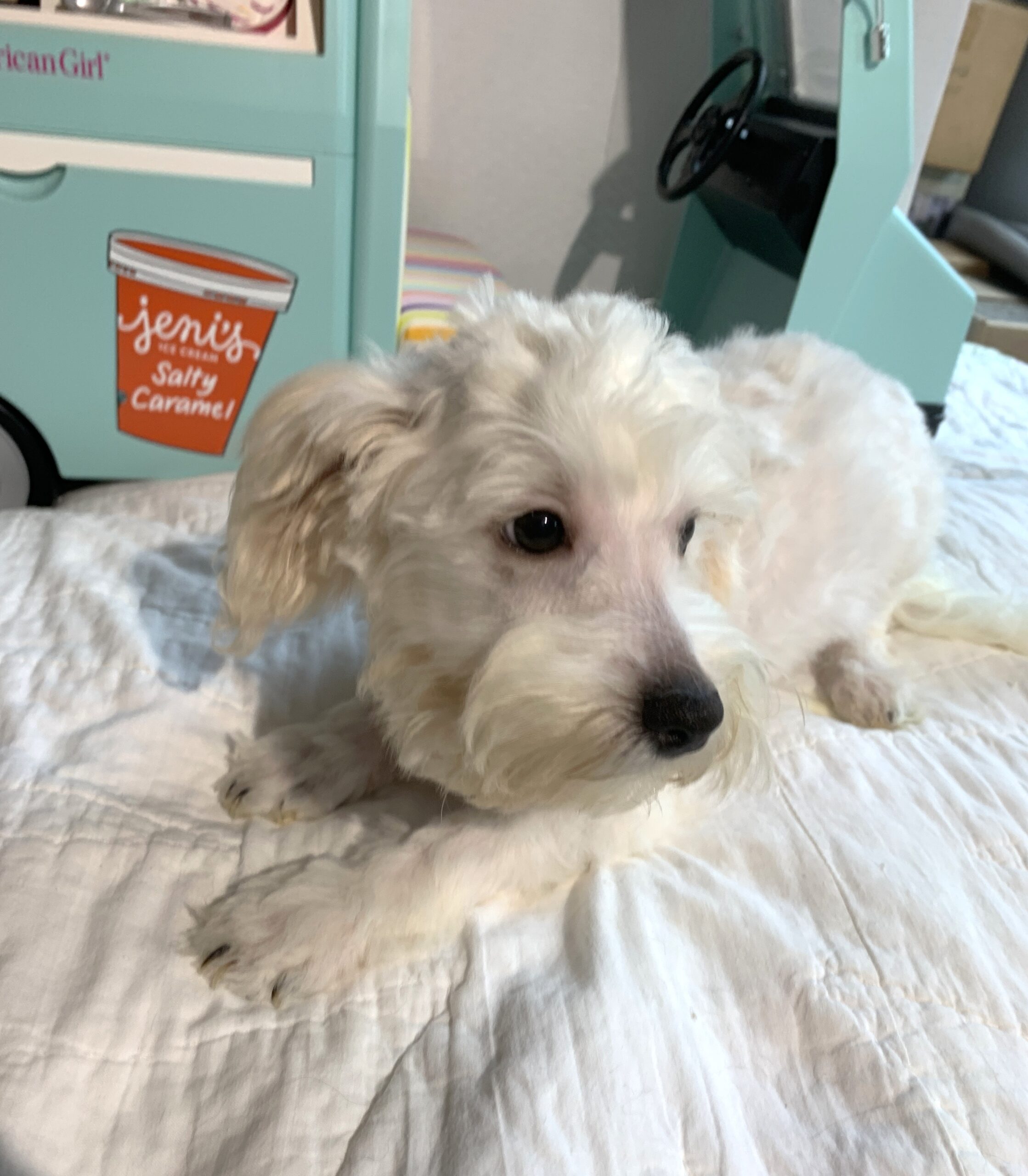 MATRIX – Chonzer $1500