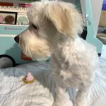 MATRIX – Chonzer $1500