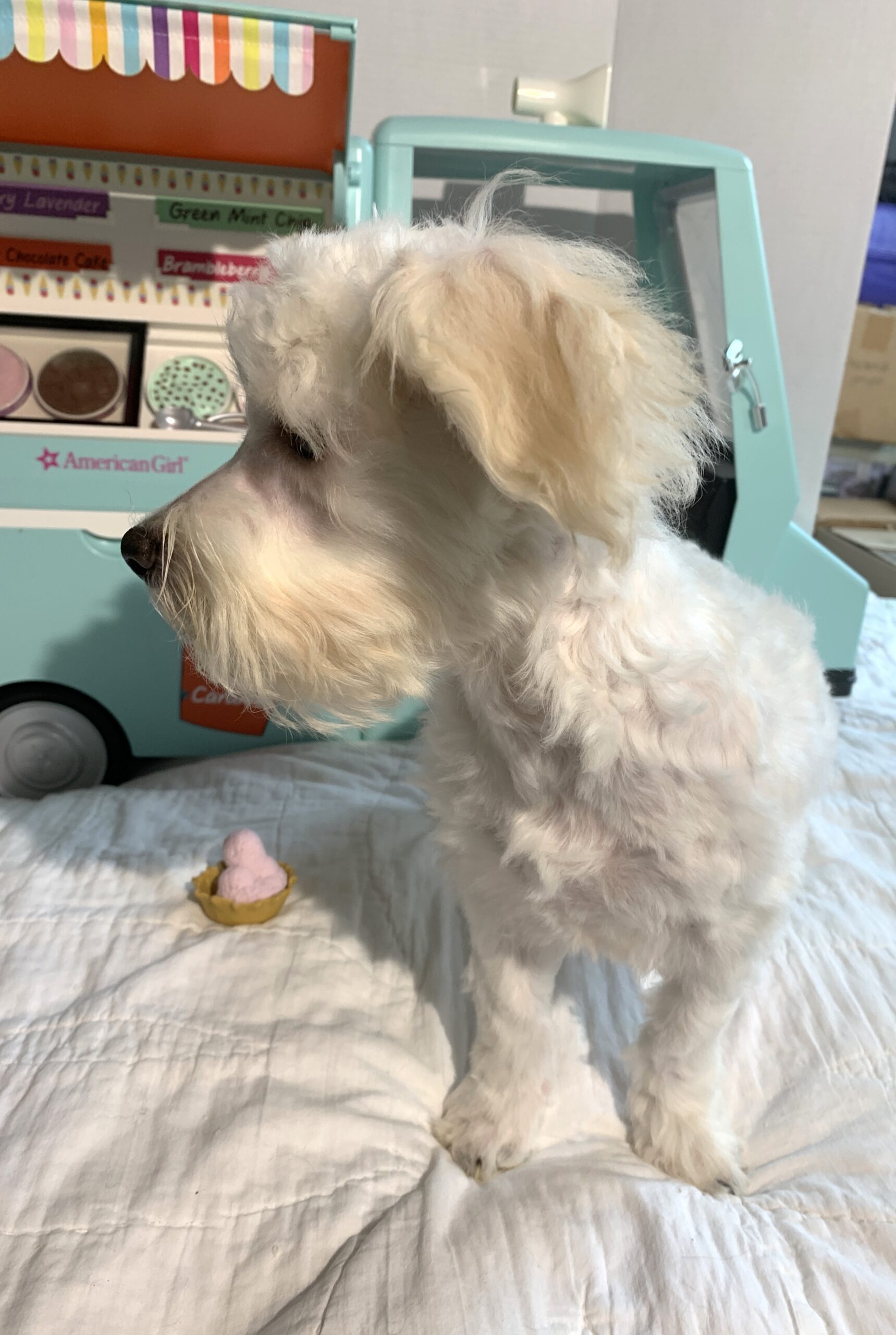 MATRIX – Chonzer $1500