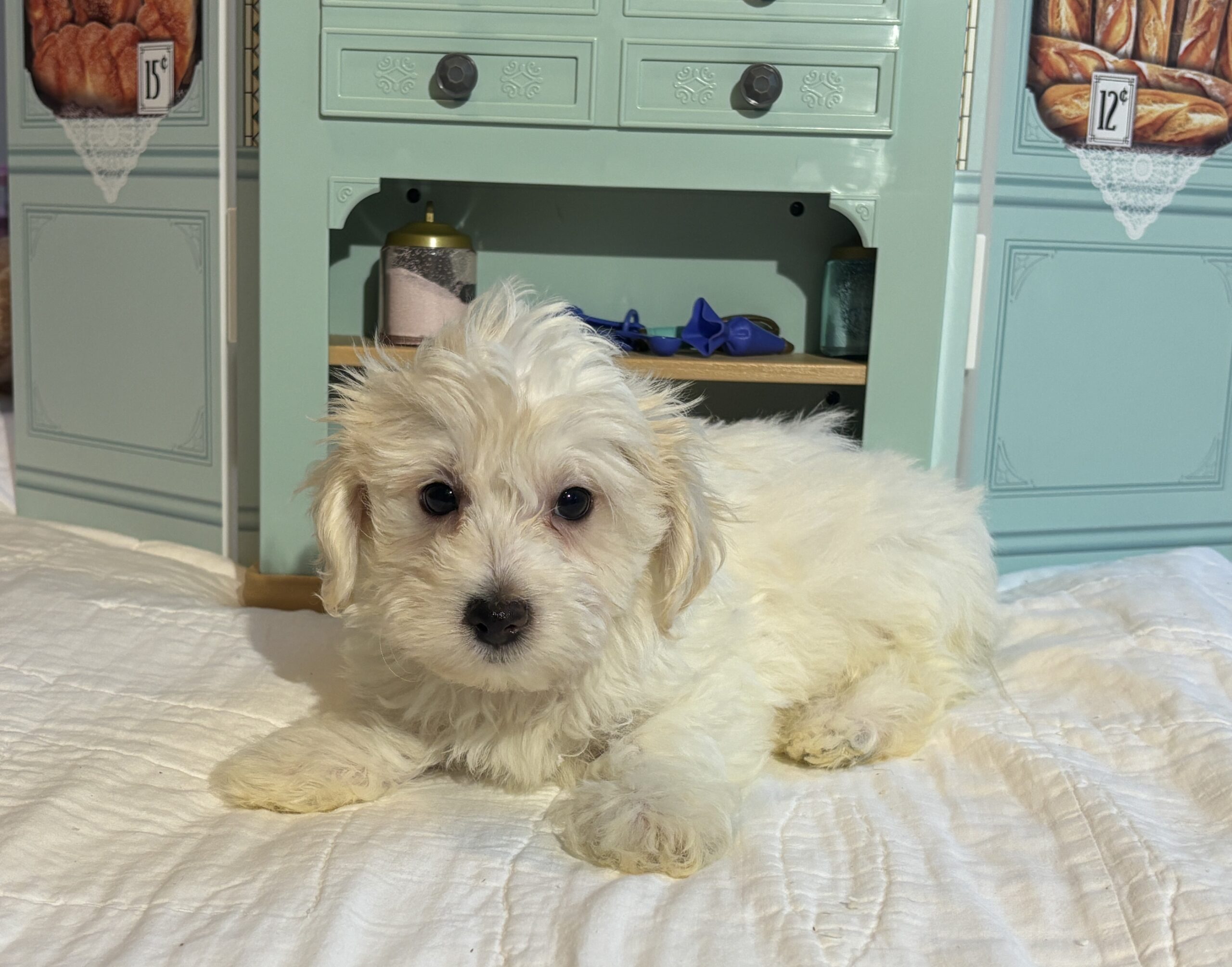 MATRIX – Chonzer / SALE! $1000