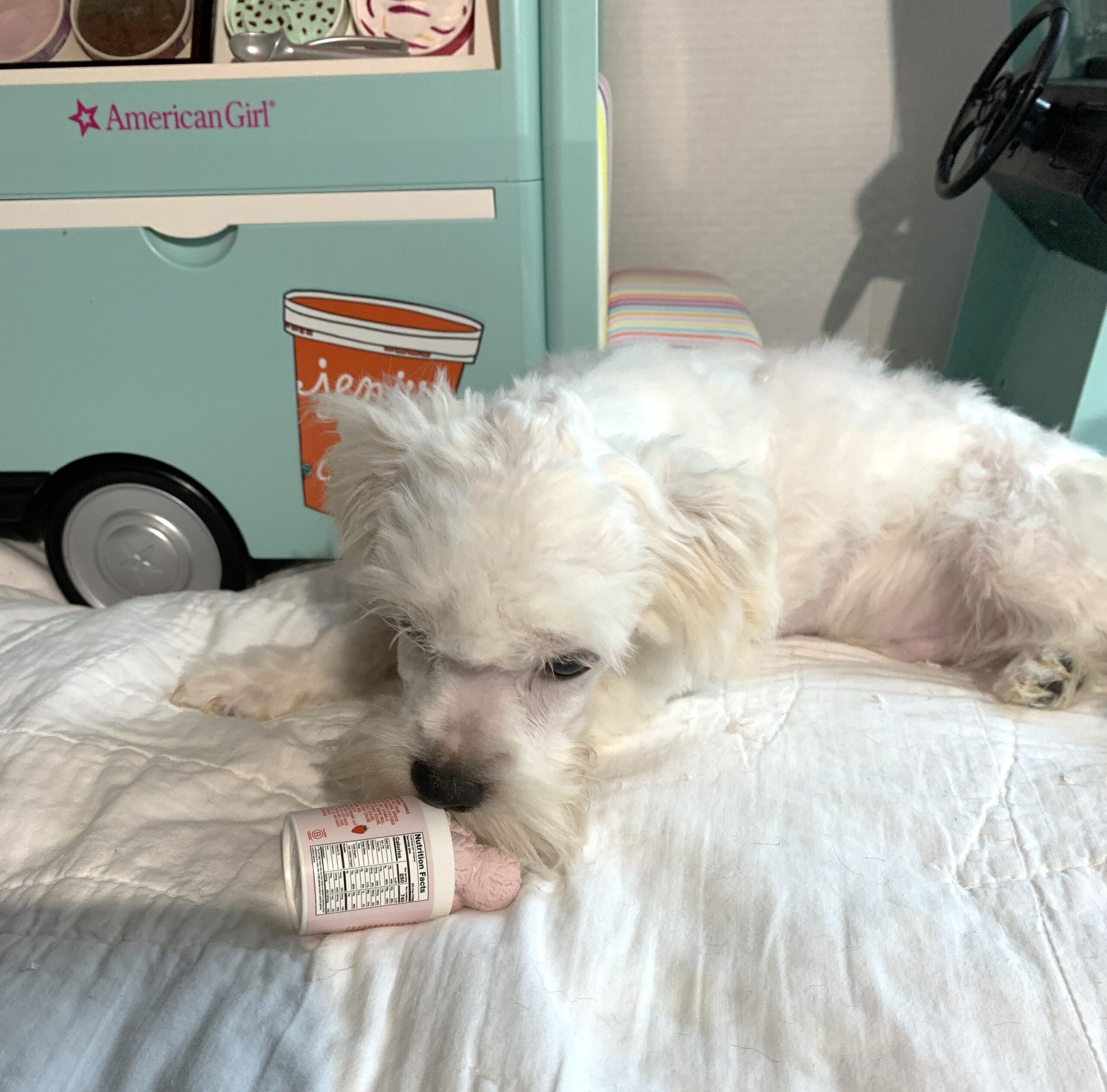 SKIP – Chonzer $1500